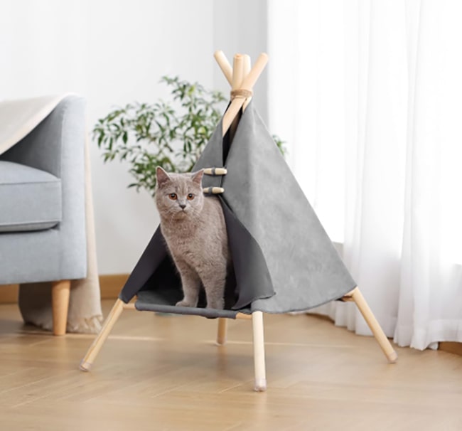 CricBuy – Online Shopping Site in India | Best Deals on Electronics, Fashion & More 41 hotspot carusel cat tent opt opt
