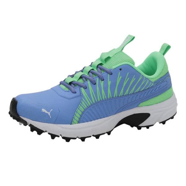 Puma Men Cricket Square Cricket Shoe