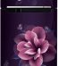 Samsung 236L 2 Star Digital Inverter Frost-Free Double Door Refrigerator Appliance (RT28C3022CR/NL,Camellia Purple