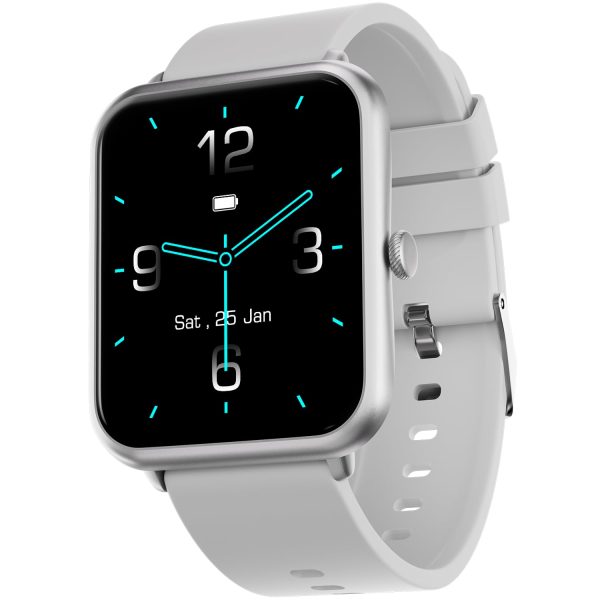 Fire-Boltt Ninja Call Pro Smart Watch Dual Chip Bluetooth Calling, 42.92mm (1.69 inch) HD Display, AI Voice Assistance with 100 Sports Modes, with SpO2 & Heart Rate Monitoring (Gray)