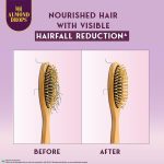Bajaj Almond Drops Anti Hairfall Shampoo with Almond Oil & Vitamin E | For 10X Hairfall Reduction* & Soft, Shiny Hair* | Paraben Free | Ideal for Men and Women - 340ML - Image 5