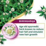 Himalaya Anti Hair Fall Bhringaraja Conditioner 180Ml - Image 3