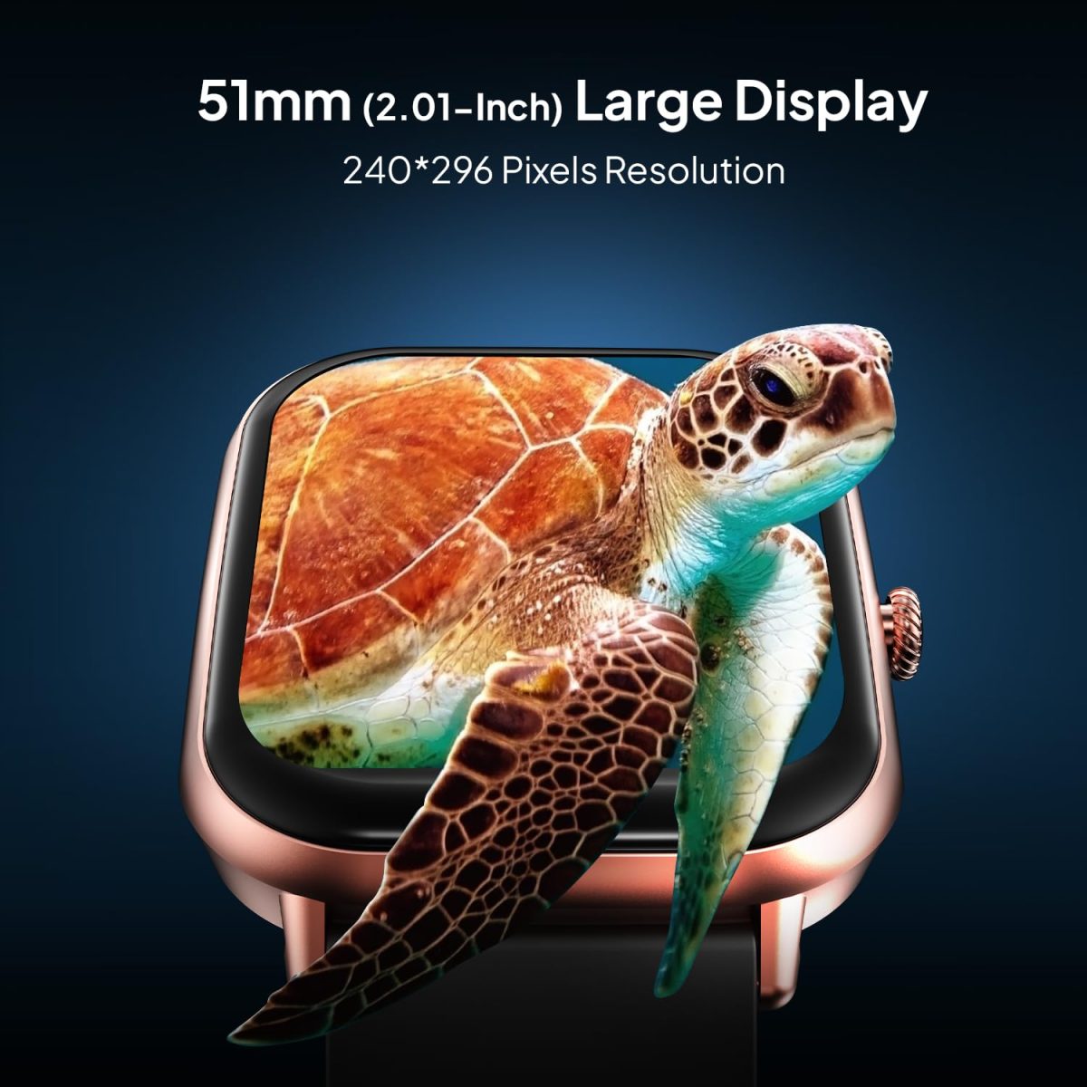 71Ip3uehU7L. SL1500