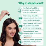 Aravi Organic Rosemary Essential Oil for Hair Growth, Quick Hair Growth for Women and Men - 100% Pure Rosemary Leaves Oil - 15 ml - Image 4