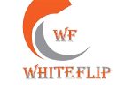WHITEFLIP Vegetable Box Compatible with LG Single Door Refrigerator 165 Liters, Match & Buy Fridge Door Shelf - Image 6