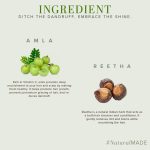 Khadi Natural Amla & Reetha Hair Shampoo | Anti-Hair Fall Shampoo | Shampoo for Thick & Strong Hair | Ayurvedic Shampoo for Healthy Hair | Suitable for All Hair|Pack of 2 | (210 * 2) (420 ml) - Image 3