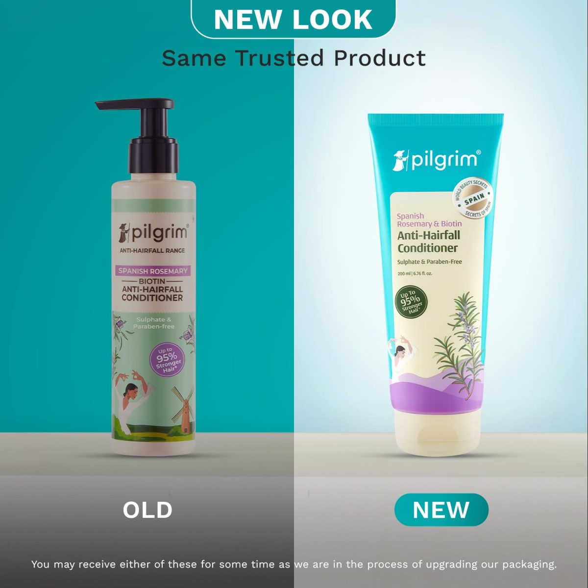 Pilgrim Spanish Rosemary & Biotin Anti Hairfall Conditioner for Reducing Hair Loss & Breakage | Upto 95% stronger hairs | Suitable for all hair types | For Men & Women 200ml - Image 2