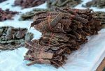 The Forest Herbs Natural Care From Nature Organic Whole Dried Amla, Reetha, Shikakai Raw Form for Hair Care Combo Each 200Gms - Image 3