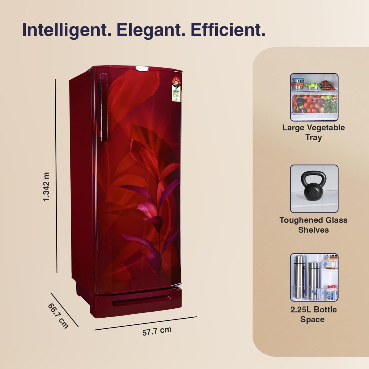Godrej 202 L 5 Star Advanced Inverter, Jumbo Vegetable Tray Direct Cool Single Door Refrigerator With Base Drawer(, RD 210E TDI MN WN, Marine Wine) - Image 3
