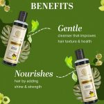 Khadi Natural Amla & Reetha Hair Shampoo | Anti-Hair Fall Shampoo | Shampoo for Thick & Strong Hair | Ayurvedic Shampoo for Healthy Hair | Suitable for All Hair|Pack of 2 | (210 * 2) (420 ml) - Image 2
