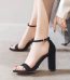 Kaniza Block Heels Sandals For Women, Dusky Stylish & Comfortable Footwear