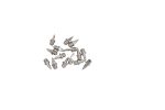 Lauris Men's and Women's Replaceable Changeable Running Spikes Nails for Having 6 mm Thread and Length for Athletics Track and Field Shoes (Silver, Standard Silver) Pack of 15 - Image 5