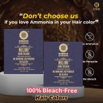 SHESHA AYURVEDA Combo Of Ayurveda Nilini Hair Colour - 100% Ayurvedic, No Ammonia, No Bleach,No Peroxides, Natural Black Colour - 40G Pack Of 2 (Black) - Image 7