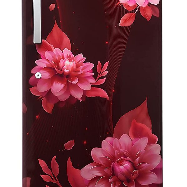 Lloyd 200 L 3 Star Inverter Direct Cool Single Door Refrigerator (GLDF213SBWT2PB, Begonia Wine)