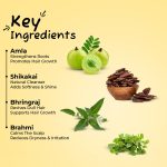 Sunny Herbals Black Hair Color | With Henna, Amla, Shikakai & Bhringraj | Long-Lasting Color | Deep Root-to-Tip Coverage | Ammonia-Free | Silicone-Free | Unisex | Natural Healthy Shine, Pack of 4 - Image 3