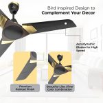 Polycab Aereo Plus Star Rated, 1200mm Ceiling Fan For Home | High Speed & Air Delivery | Saves Up To 33% Electricity, 100% Copper, Rust-Proof Blades, 52 Watt【Matt Black Choclate Gold】 - Image 2