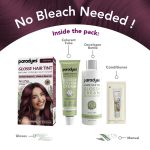 Paradyes No Bleach Mini Berry Plum Glossy Hair Tint, Ammonia-Free Formula for Natural Black Hair, Visible on Natural Black Hair - Image 5