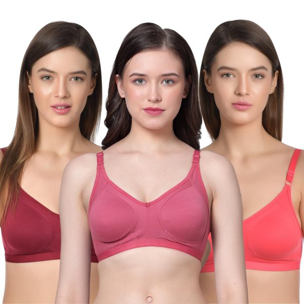 Aimly Women's Cotton Seamless Non-Padded Non-Wired Full Coverage Regular Bra Pack of 3