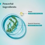 Pilgrim Spanish Rosemary & Biotin Anti Hairfall Conditioner for Reducing Hair Loss & Breakage | Upto 95% stronger hairs | Suitable for all hair types | For Men & Women 200ml - Image 5