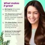 PLIX - THE PLANT FIX Rosemary Anti Hairfall Kit - Serum (30ml), Shampoo (200ml), Conditioner (175ml) & Oil (100ml) | For Hair Thinning, New Hair Growth & More Volume - Image 3