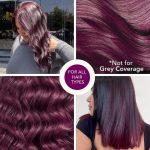 Paradyes No Bleach Mini Berry Plum Glossy Hair Tint, Ammonia-Free Formula for Natural Black Hair, Visible on Natural Black Hair - Image 7