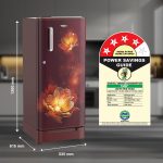 Whirlpool 184 L 4 Star Inverter Direct-Cool Single Door Refrigerator (205 WDE ROY 4S Inv WINE RADIANCE-Z, Base Stand with Drawer, 2023 Model) - Image 2