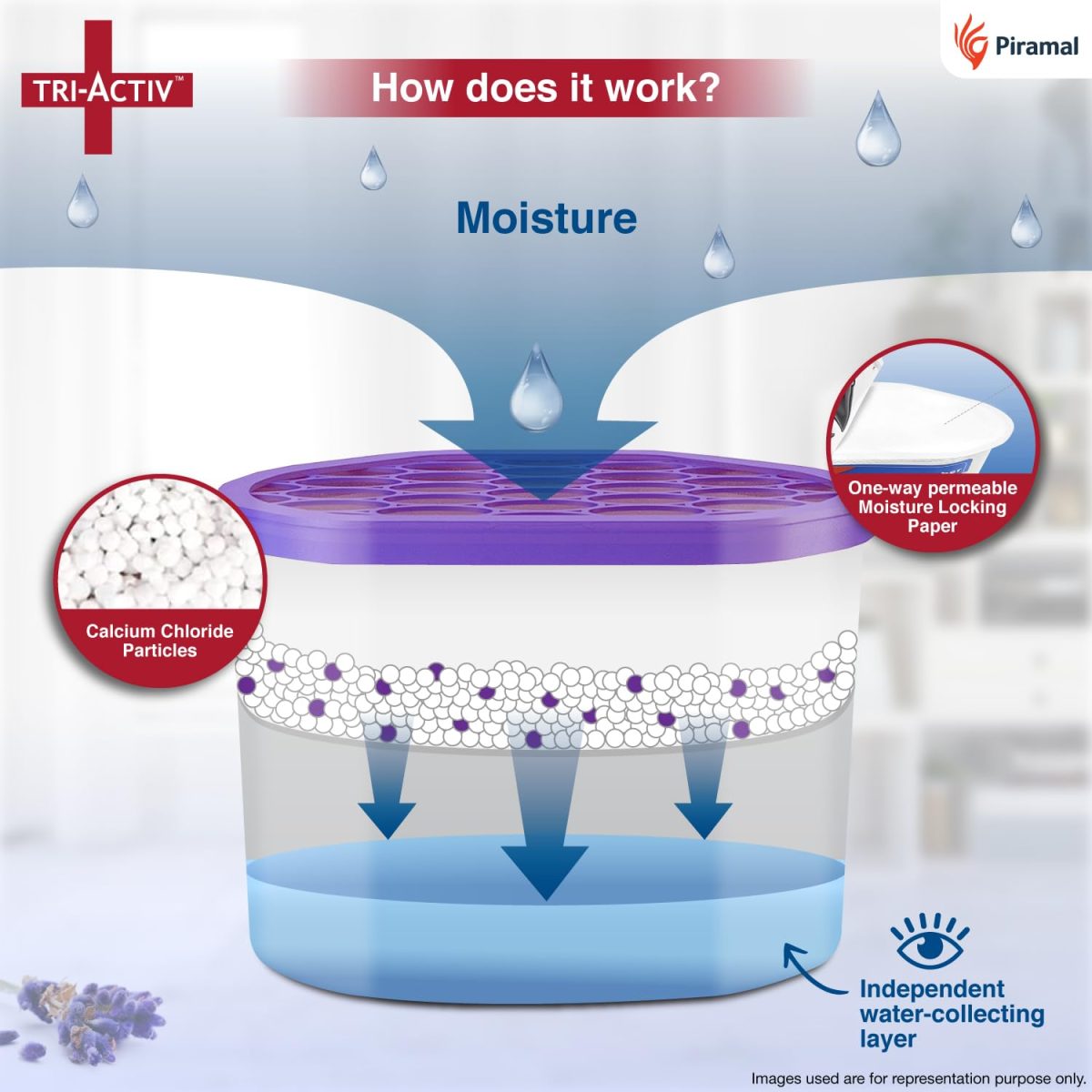 Tri-Activ Moisture Absorber | Absorbs upto 600ml Each|Pack of 2 | Dehumidifier for Room Moisture | Air Freshener & Humidity Absorber for Wardrobe, Toilet & Car | Prevents Mould, Fungus, Odour|Lavender - Image 4