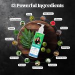 NIDHI’S GRANDMAA SECRET 13 Herbs Hair Oil For Men & Women | Promotes Hair Growth & Reduces Hair Fall | Handmade Natural Hair Oil with Curry Leaves | Hair Fall Control Oil For Dry Damaged Hair | 100 mL - Image 6