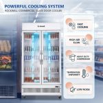 ROCKWELL 739Ltr, Double Glass Door Visi Cooler, Internal LED, 4 Year Warranty, Dynamic Cooling (RVC950C, White) - Image 3