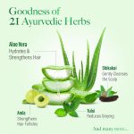 Kesh King Anti Hairfall Shampoo with aloe and 21 herbs, 340ml - Image 3