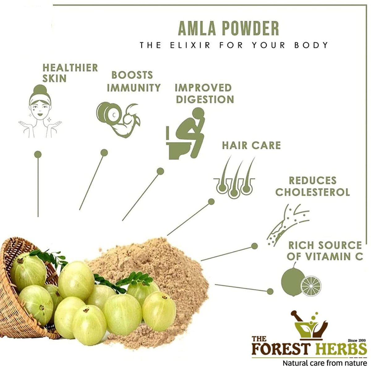 The Forest Herbs Natural Care From Nature Organic Whole Dried Amla, Reetha, Shikakai Raw Form for Hair Care Combo Each 200Gms - Image 4