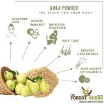 The Forest Herbs Natural Care From Nature Organic Whole Dried Amla, Reetha, Shikakai Raw Form for Hair Care Combo Each 200Gms - Image 4