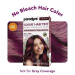 Paradyes No Bleach Mini Berry Plum Glossy Hair Tint, Ammonia-Free Formula for Natural Black Hair, Visible on Natural Black Hair - Image 2