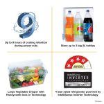 Whirlpool 184 L 4 Star Inverter Direct-Cool Single Door Refrigerator (205 WDE ROY 4S Inv WINE RADIANCE-Z, Base Stand with Drawer, 2023 Model) - Image 7