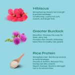 Tikitoro Teens Conditioning Shampoo 100% Vegan with Hibiscus, Rice Protein, Greater Burdock Extract, Cleanses, Strengthens & Softens Hairs, (Age: 11+) (300ml x 1) - Image 3