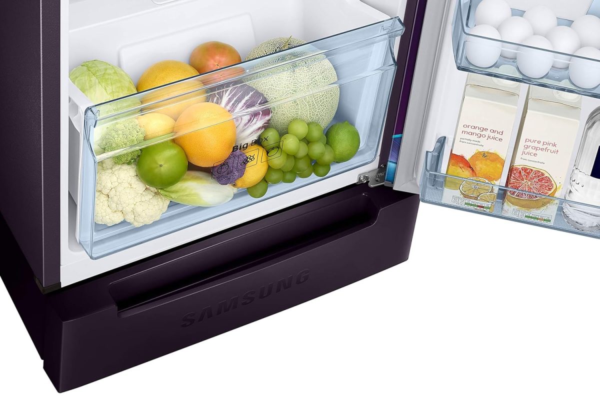 Samsung 236L 2 Star Inverter Frost-Free Double Door Refrigerator (RT28C31429R/HL,Paradise Bloom Purple) Base Stand Drawer - Image 9