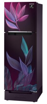 Samsung 236L 2 Star Inverter Frost-Free Double Door Refrigerator (RT28C31429R/HL,Paradise Bloom Purple) Base Stand Drawer - Image 3