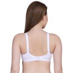 Layeba Women Full Coverage Non-Padded Half Net 3 Pack Combo - Image 7
